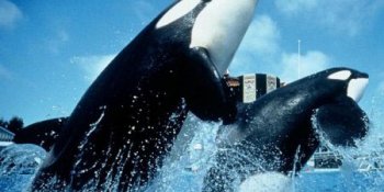 SeaWorld San Diego